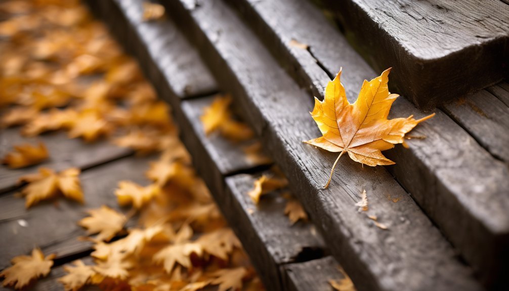 symbol of beauty and decay